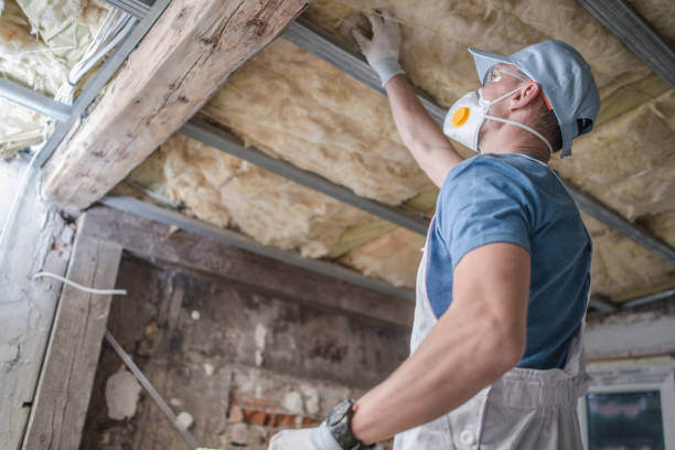 Best Spray Foam Insulation in Sibley, LA