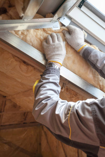 Best Specialized Insulation Services in Sibley, LA