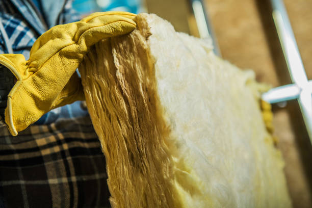 Best Geographic-Specific Insulation Services in Sibley, LA